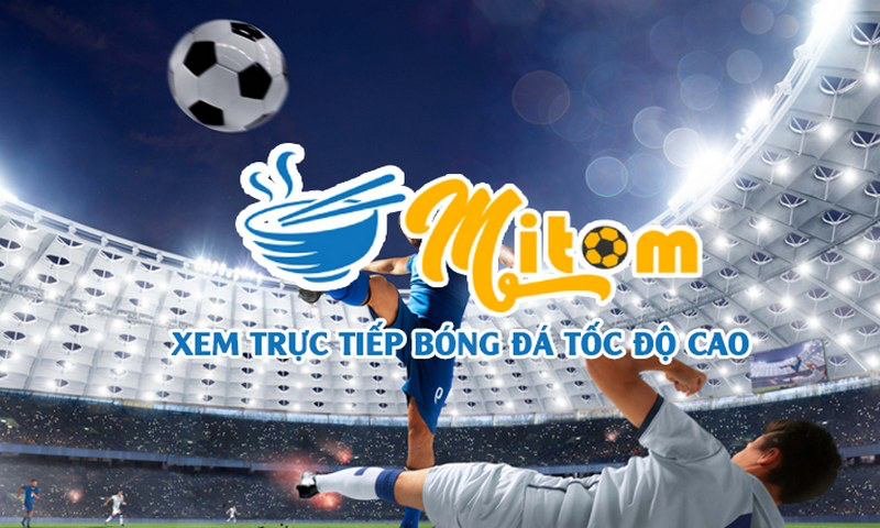 Hướng dẫn cách sử dụng Mitom Tv