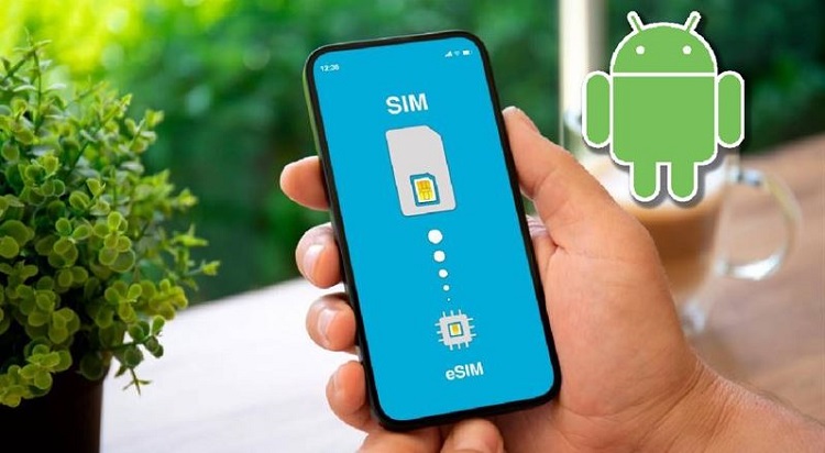 2 Cách kiểm tra điện thoại Android có eSIM hay không