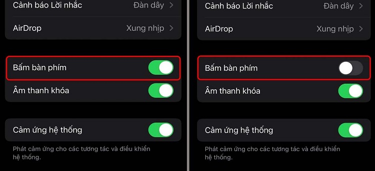 Bật mục Bấm bàn phím