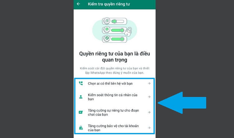 Các mục trong kiểm tra quyền riêng tư trên WhatsApp