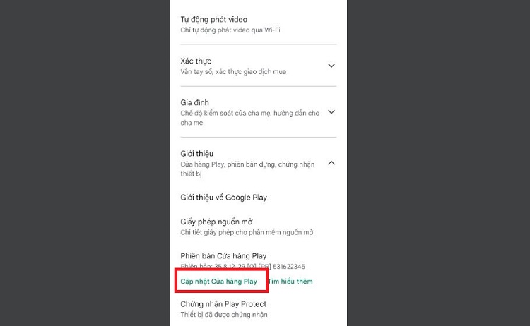 Cập nhật Google Play