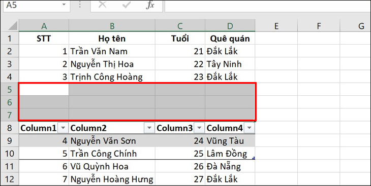 chèn dòng trống xen kẽ trong Excel Insert