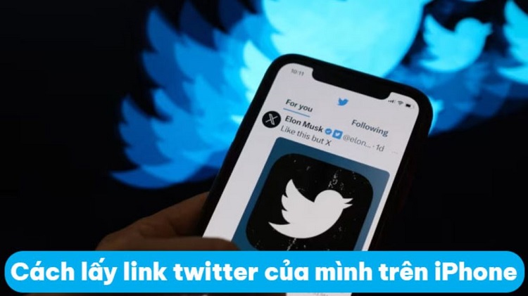 Chia sẻ cách lấy link Twitter của mình trên iPhone