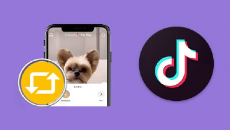 Đăng lại trên TikTok là gì