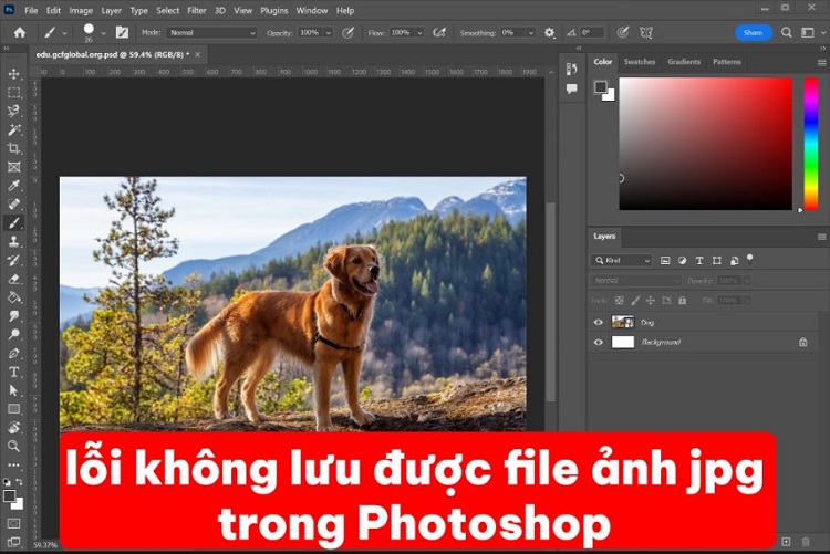 Fix lỗi không lưu được file ảnh JPG trong Photoshop