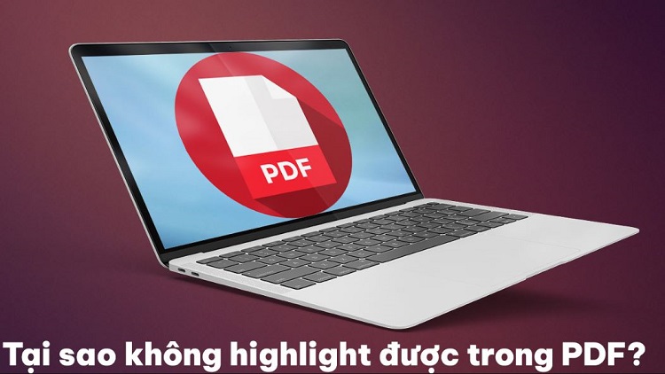 Giải đáp tại sao không highlight được trong PDF?