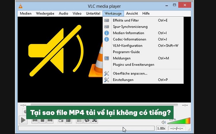 Hỏi đáp tại sao file MP4 tải về lại không có tiếng