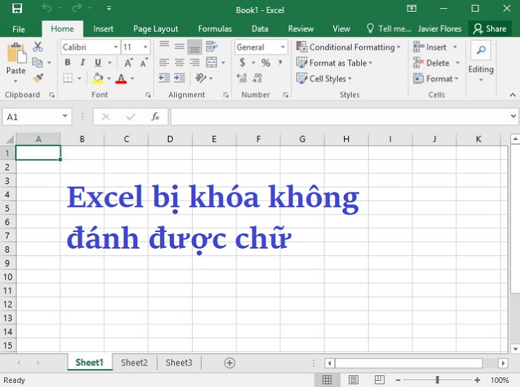 Khắc phục Excel bị khóa không đánh được chữ