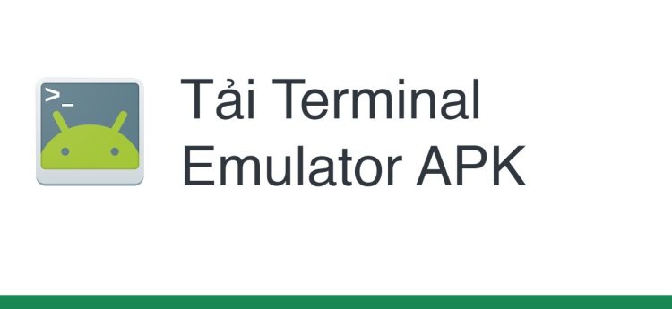 Kiểm tra bằng Terminal Emulator