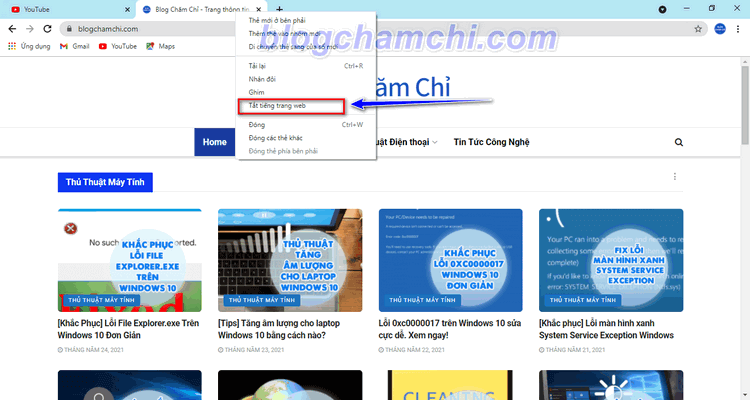 Kiểm tra trình duyệt Web xem có tắt âm thanh không?