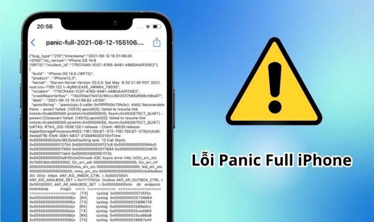 Lỗi Panic full trên iPhone là gì?