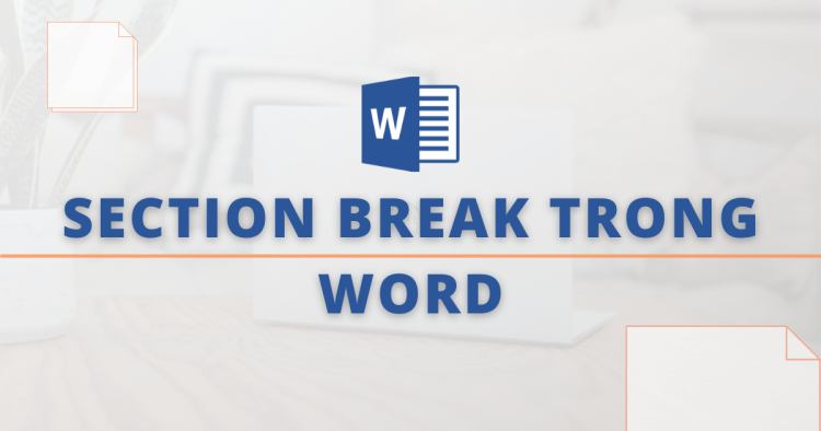 Section breaks là gì Cách nhận biết Section và vị trí trong Word