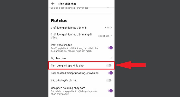 Tạm dừng khi app khác phát