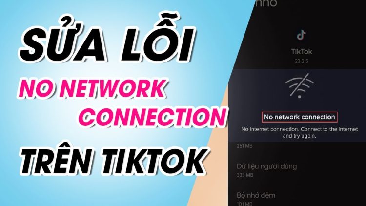 Tiktok bị lỗi mạng trên iPhone