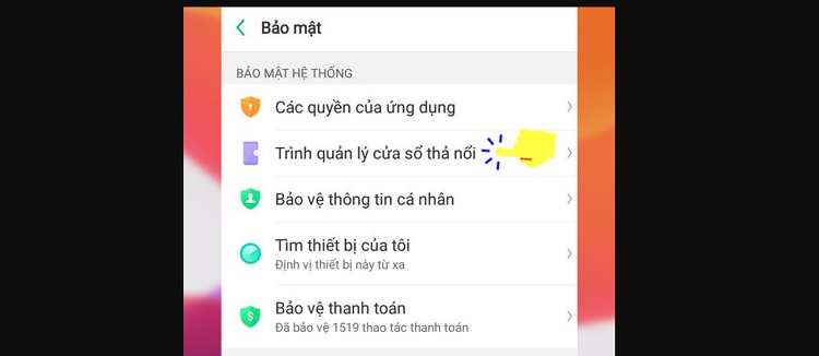 Trình quản lý cửa sổ thả nổi