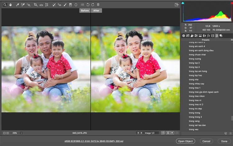 Ưu điểm của Camera Raw trong Photoshop