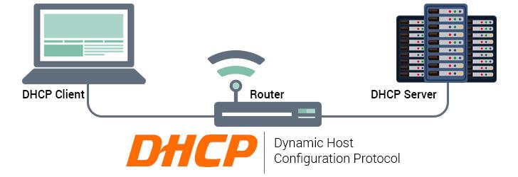 Vô tình tắt tính năng DHCP