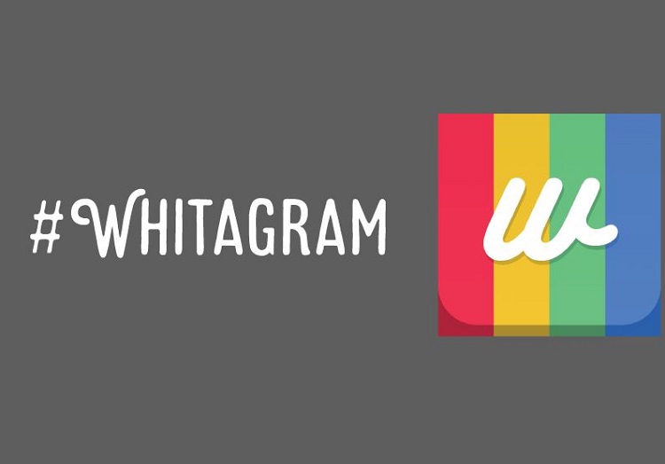 Whitagram App